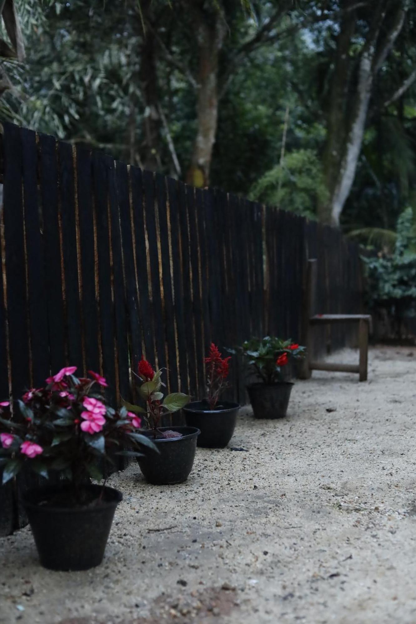 A Pousada Bed & Baggage Ella Exterior foto